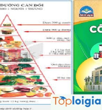 Môn Công Nghệ Lớp 6