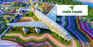 Du Lịch Dubai - Dubai Miracle Garden