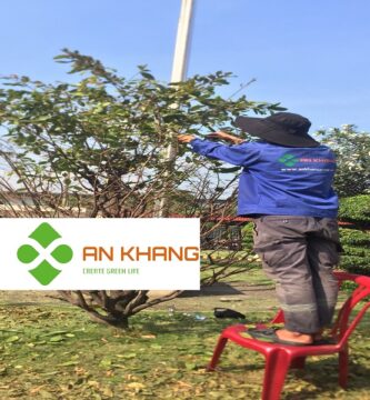 Chăm Sóc Cây Xanh Tại KCN Thủ Dầu Một Bình Dương