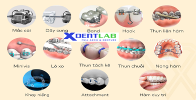 Custom orthodontic appliance manufacturer worldwide