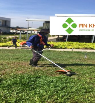 Giới Thiệu Dịch Vụ Cắt Cỏ Tại KCN Bình Dương