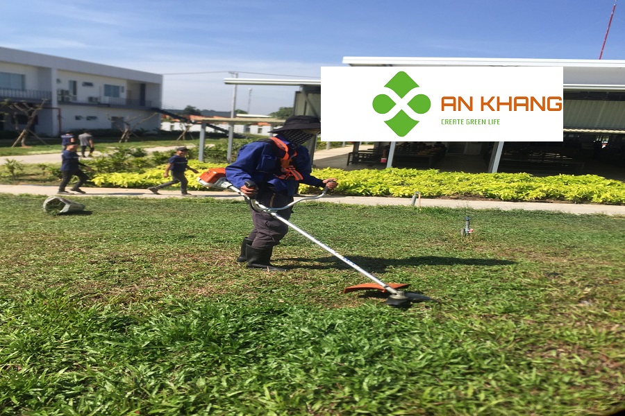 Giới Thiệu Dịch Vụ Cắt Cỏ Tại KCN Bình Dương