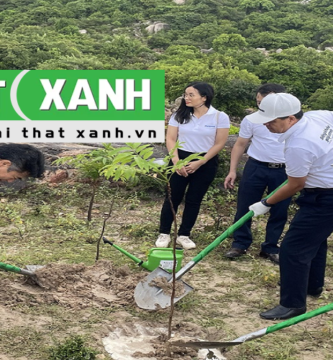 Dịch Vụ Trồng Cây Xanh Tại Tây Ninh