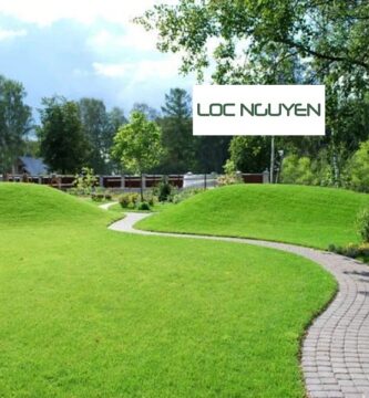 Giới Thiệu Dịch Vụ Trồng Cỏ Tại KCN Long An