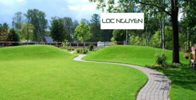 Giới Thiệu Dịch Vụ Trồng Cỏ Tại KCN Long An