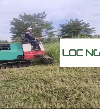 Dịch vụ phát hoang cỏ dại tại KCN Long An