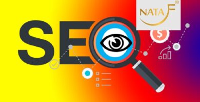 SEO Web Tại Đồng Xoài Bình Phước