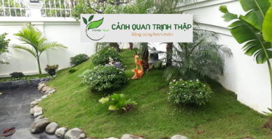 Thiết Kế Sân Vườn Tại Hai Bà Trưng Hà Nội
