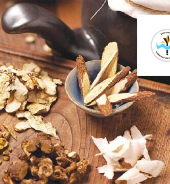 5 Bài Thuốc Đông Y Trị Tiểu Đường Hiệu Quả