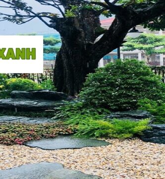 Cung Cấp Cây Xanh Tại Nhà Bè TP.HCM