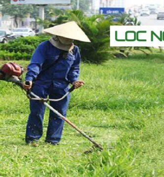 Dịch Vụ Phát Hoang Cỏ Dại KCN Long An