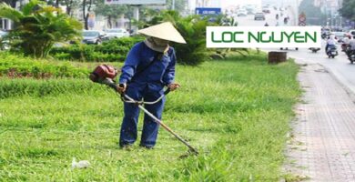 Dịch Vụ Phát Hoang Cỏ Dại KCN Long An