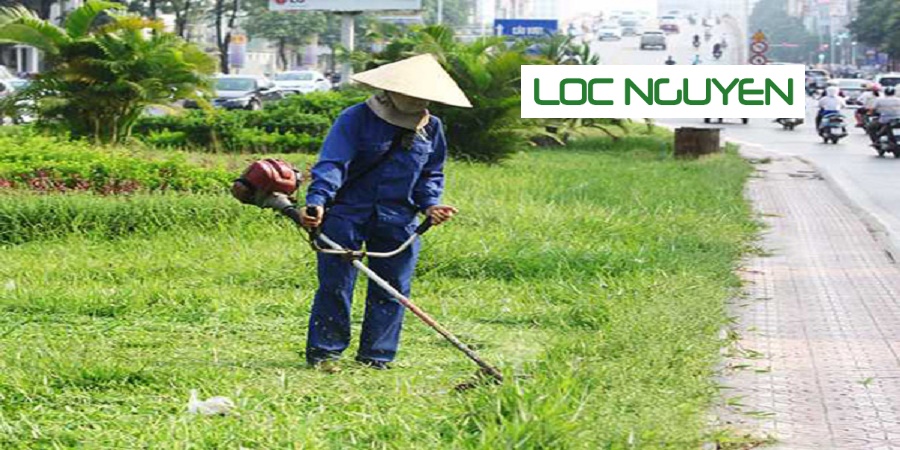 Dịch Vụ Phát Hoang Cỏ Dại KCN Long An