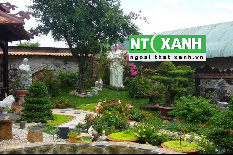 Giới Thiệu Dịch Vụ Trồng Cây Cảnh Tại Dĩ An Bình Dương