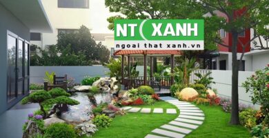 Giới Thiệu Dịch Vụ Trồng Cây Cảnh Tại Long An
