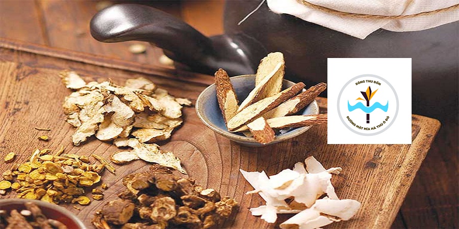 5 Bài Thuốc Đông Y Trị Tiểu Đường Hiệu Quả