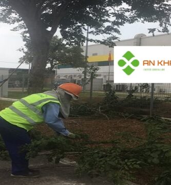 Chăm Sóc Cây Xanh Tại KCN VSIP