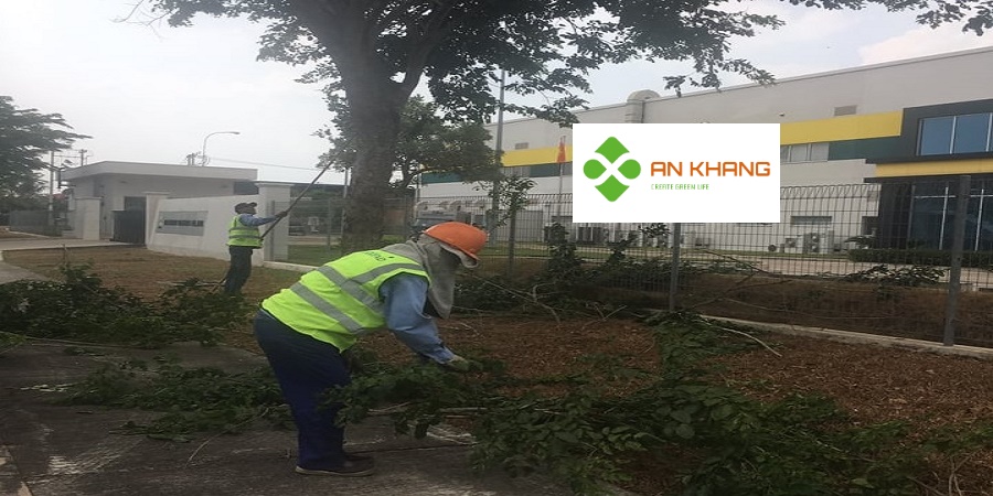 Chăm Sóc Cây Xanh Tại KCN VSIP