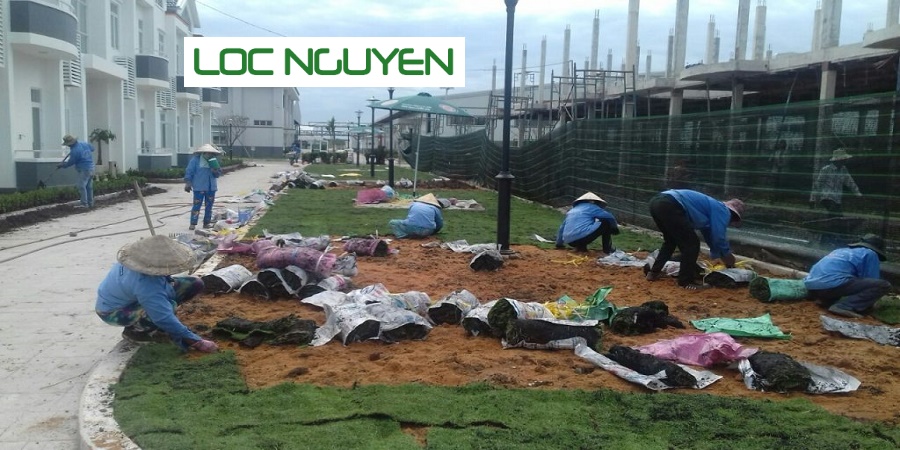 Công Ty Chăm Sóc Cây Xanh Tại Cần Giuộc Long An