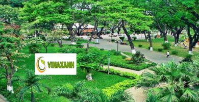 Cung cấp cây xanh tại TPHCM