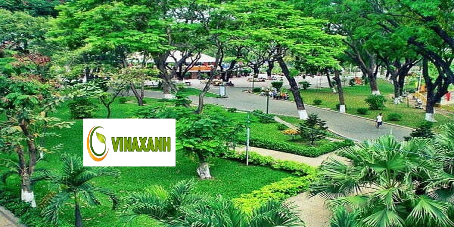 Cung cấp cây xanh tại TPHCM