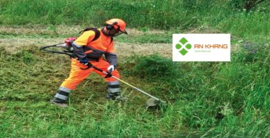 Dịch Vụ Cắt Cỏ Tại Bình Dương