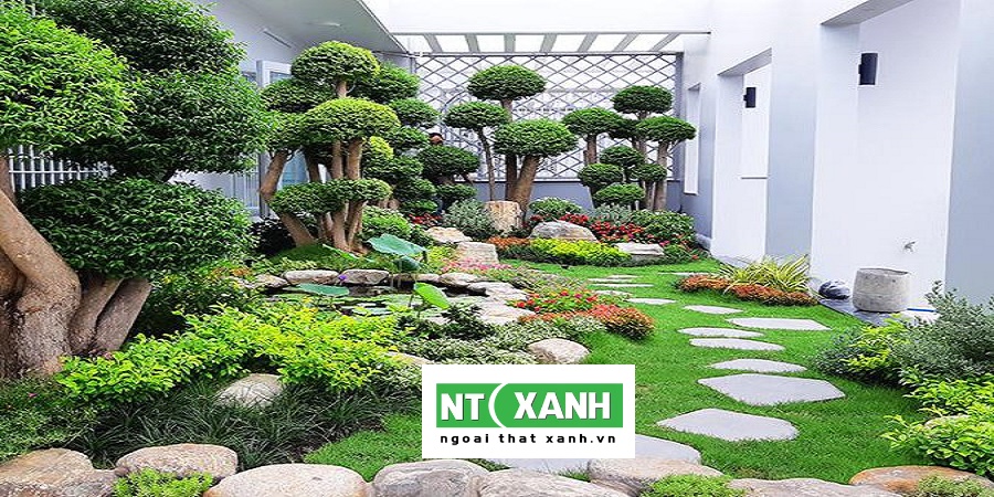 Dịch Vụ Trồng Cỏ Sân Vườn Ở Bình Dương