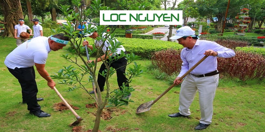 Dịch Vụ Trồng Cây Xanh Long An
