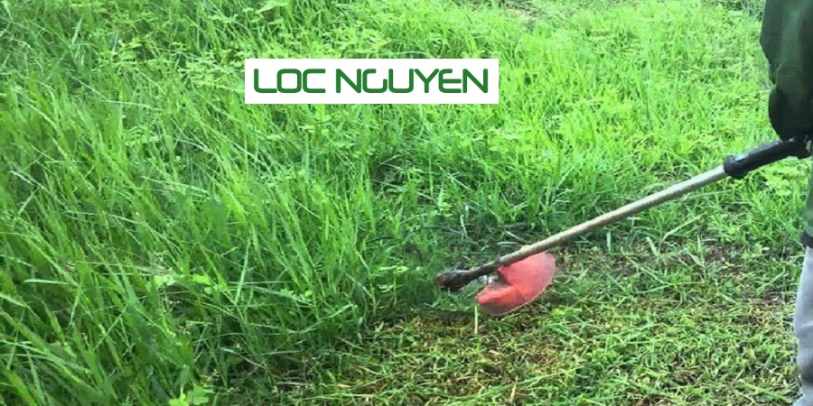 Dịch vụ phát hoang cỏ dại KCN Long An