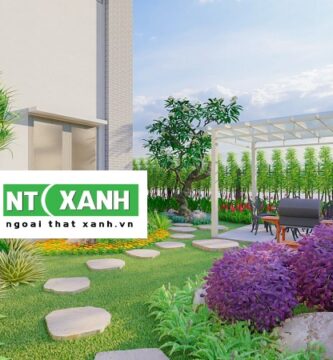 Dịch vụ trồng cây cảnh tại Bình Tân TP.HCM