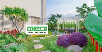 Dịch vụ trồng cây cảnh tại Bình Tân TP.HCM