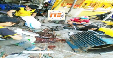 Sửa Chữa Motor Uy Tín Tại Bình Dương
