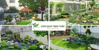 Thiết Kế Sân Vườn Tại Hà Nội