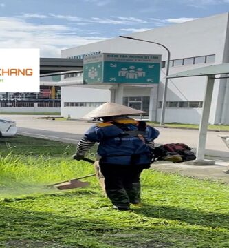 Chăm sóc cây xanh tại KCN Bình Dương