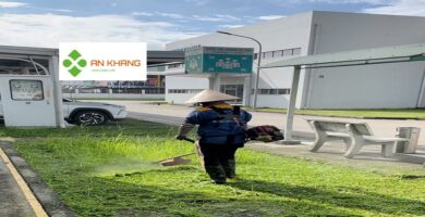 Chăm sóc cây xanh tại KCN Bình Dương