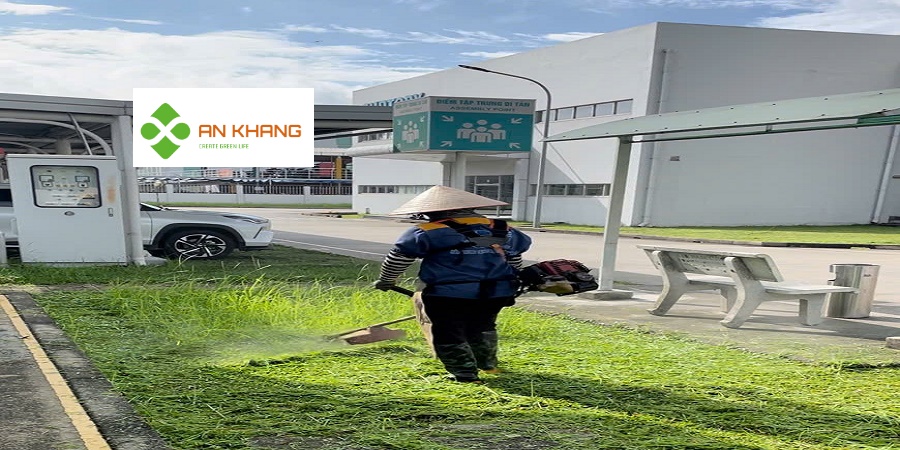 Chăm sóc cây xanh tại KCN Bình Dương