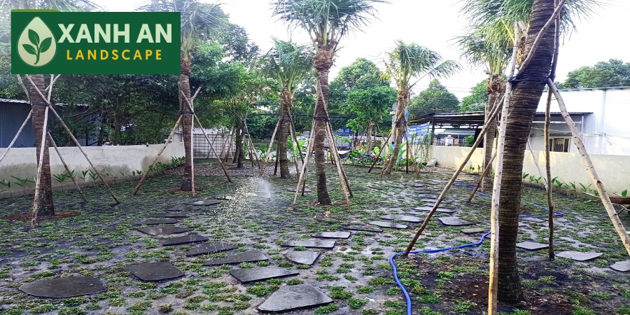 Công Ty Thiết Kế Cảnh Quan Thủ Dầu Một