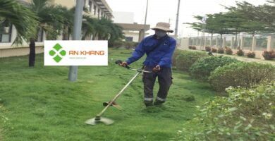 Dịch Vụ Cắt Cỏ Bình Dương
