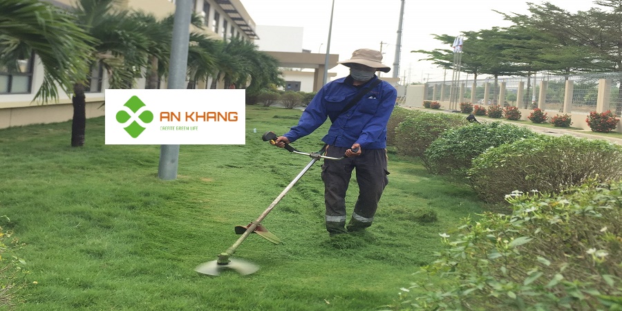 Dịch Vụ Cắt Cỏ Bình Dương