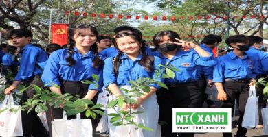Dịch Vụ Trồng Cây Cảnh Tại Tây Ninh