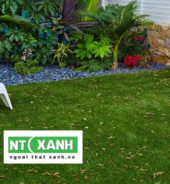 Dịch Vụ Trồng Cỏ Sân Vườn TP.HCM