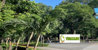 Trồng Cây Xanh Tại TPHCM