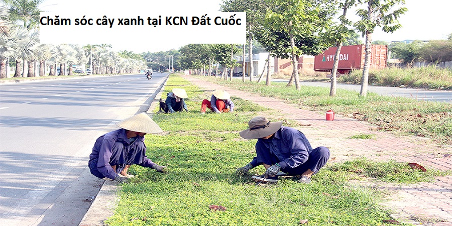 Chăm sóc cây xanh tại KCN Đất Cuốc