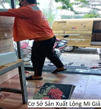 Cơ Sở Sản Xuất Lông Mi Giả Ở Tại Bình Dương