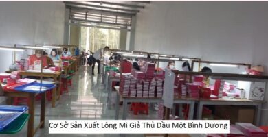 Cơ Sở Sản Xuất Lông Mi Giả Thủ Dầu Một Bình Dương