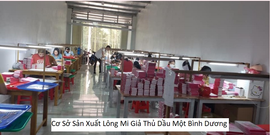 Cơ Sở Sản Xuất Lông Mi Giả Thủ Dầu Một Bình Dương
