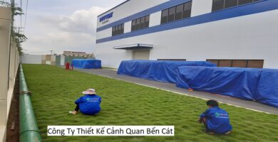 Công Ty Thiết Kế Cảnh Quan Bến Cát