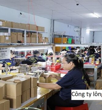 Công ty lông mi giả Bình Dương
