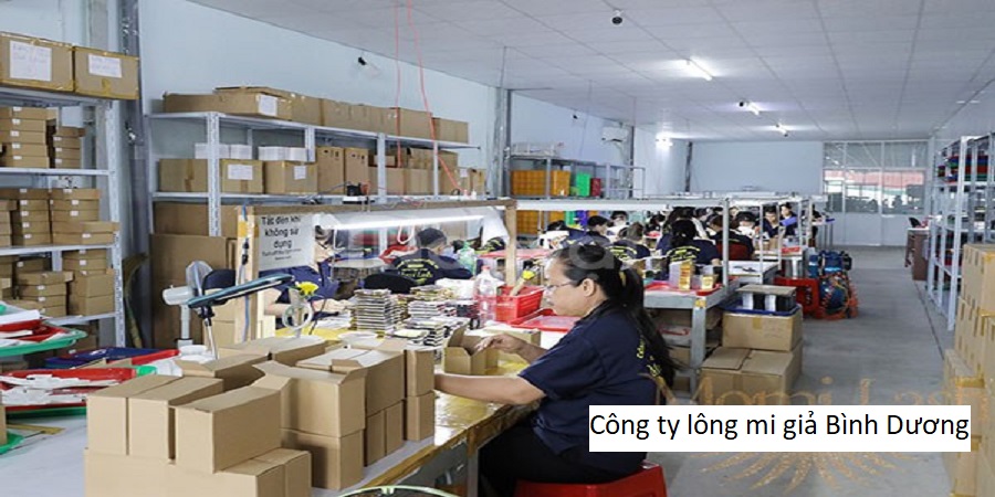 Công ty lông mi giả Bình Dương