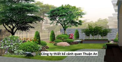 Công ty thiết kế cảnh quan Thuận An